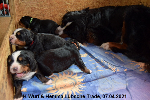 K-Wurf & Hemma Lübsche Trade, 07.04.2021