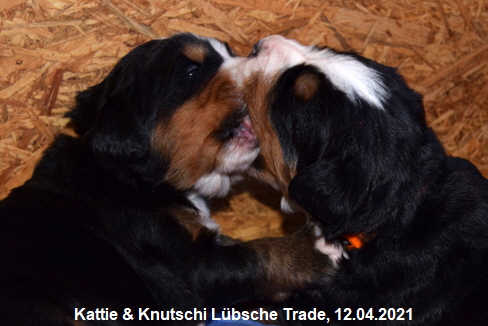 Kattie & Knutschi Lübsche Trade, 12.04.2021