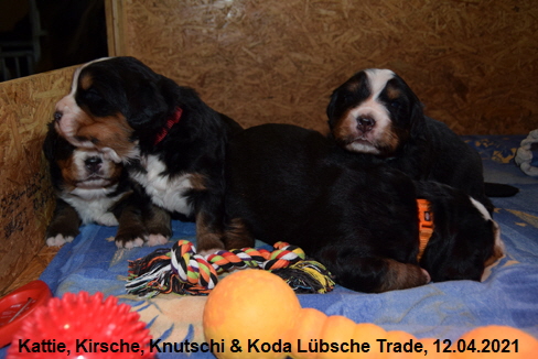 Kattie, Kirsche, Knutschi & Koda Lübsche Trade, 12.04.2021