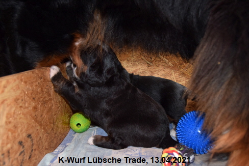 K-Wurf Lübsche Trade, 13.04.2021