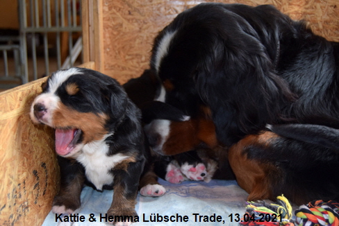 Kattie & Hemma Lübsche Trade, 13.04.2021