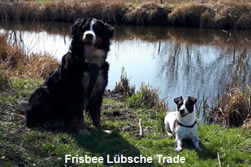 Frisbee Lbsche Trade