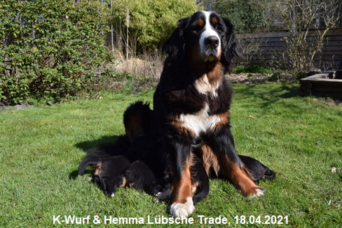 K-Wurf & Hemma Lübsche Trade, 18.04.2021