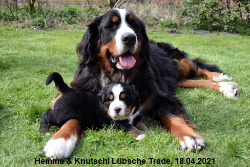 Hemma & Knutschi Lübsche Trade, 18.04.2021