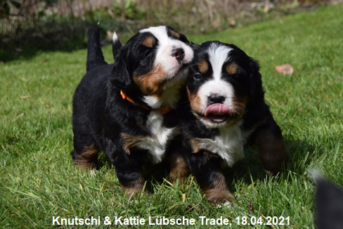 Knutschi & Kattie Lübsche Trade, 18.04.2021