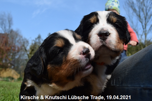 Kirsche & Knutschi Lübsche Trade, 19.04.2021