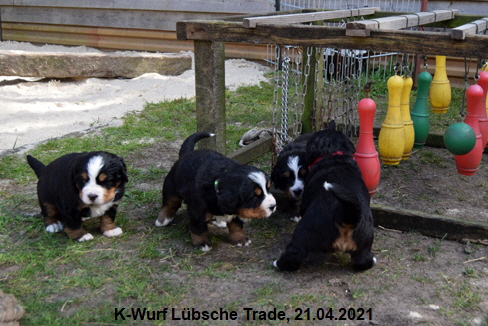 K-Wurf Lübsche Trade, 21.04.2021