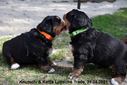 Knutschi & Kattie Lübsche Trade, 21.04.2021
