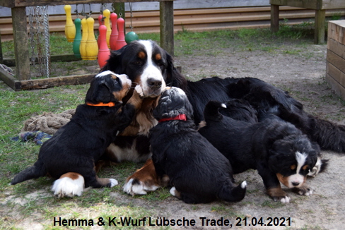 Hemma & K-Wurf Lübsche Trade, 21.04.2021