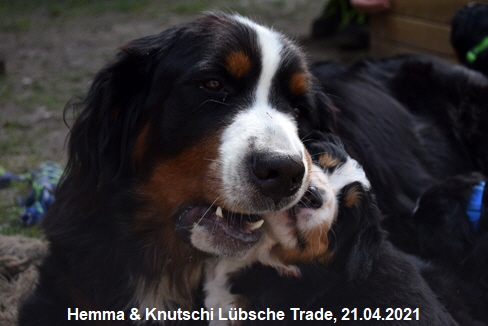 Hemma & Knutschi Lübsche Trade, 21.04.2021