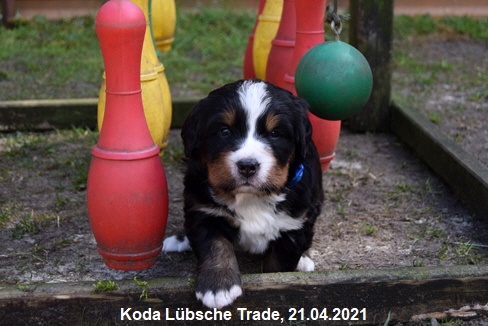 Koda Lübsche Trade, 21.04.2021