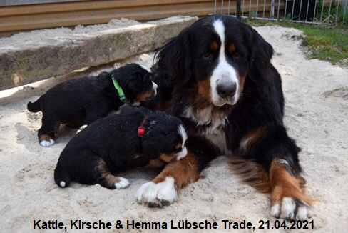 Kattie, Kirsche & Hemma Lübsche Trade, 21.04.2021