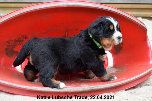 Kattie Lübsche Trade, 22.04.2021