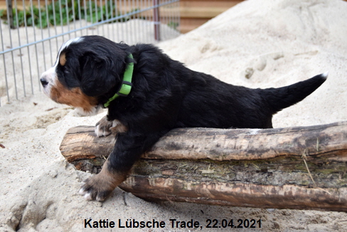 Kattie Lübsche Trade, 22.04.2021