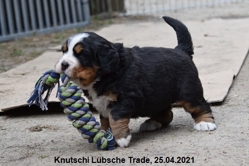 Knutschi Lübsche Trade, 25.04.2021
