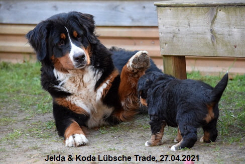 Jelda & Koda Lübsche Trade, 27.04.2021