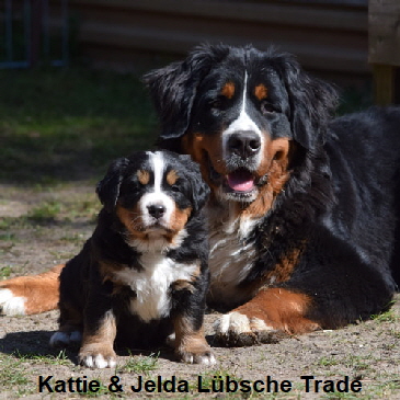 Kattie & Jelda Lbsche Trade