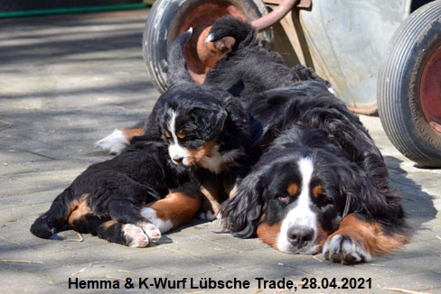 Hemma & K-Wurf Lübsche Trade, 28.04.2021