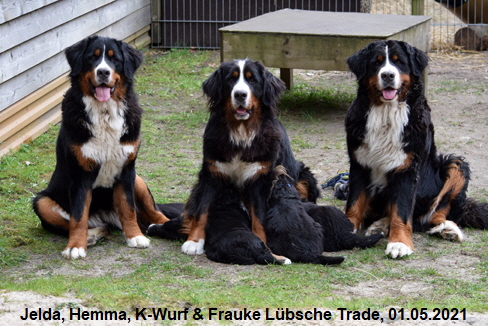 Jelda, Hemma, K-Wurf & Frauke Lübsche Trade, 01.05.2021
