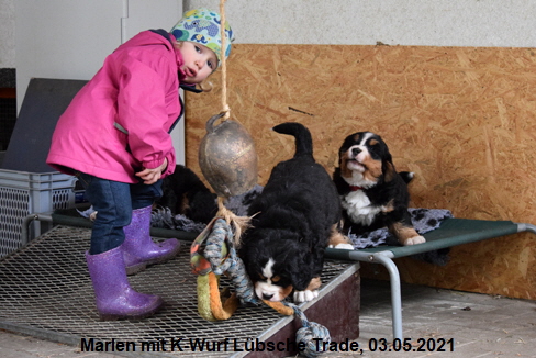Marlen mit K-Wurf Lübsche Trade, 03.05.2021