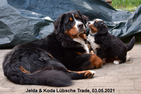 Jelda & Koda Lübsche Trade, 03.05.2021