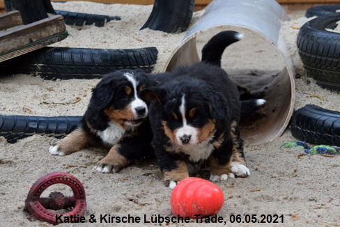 Kattie & Kirsche Lübsche Trade, 06.05.2021
