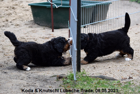 Koda & Knutschi Lübsche Trade, 06.05.2021