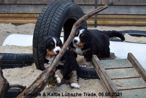 Kirsche & Kattie Lübsche Trade, 06.05.2021
