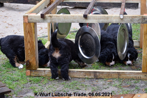 K-Wurf Lübsche Trade, 06.05.2021