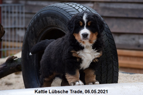 Kattie Lübsche Trade, 06.05.2021
