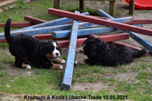 Knutschi & Koda Lübsche Trade 10.05.2021