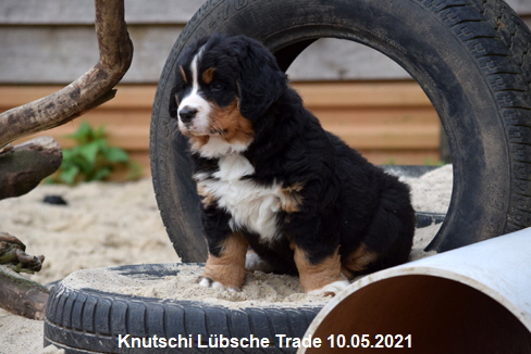 Knutschi Lübsche Trade 10.05.2021