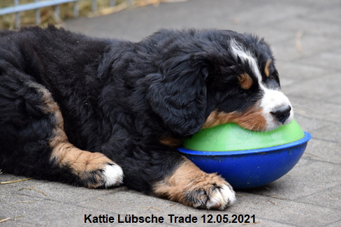 Kattie Lübsche Trade 12.05.2021