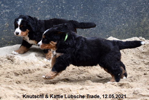 Knutschi & Kattie Lübsche Trade, 12.05.2021