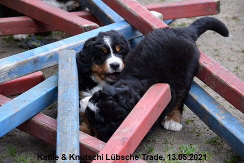 Kattie & Knutschi Lübsche Trade, 13.05.2021