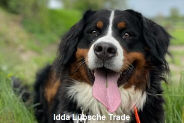 Idda Lübsche Trade