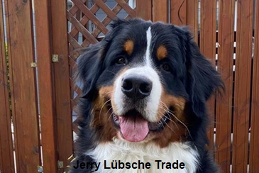 Jerry Lübsche Trade