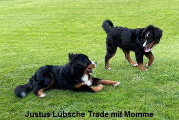 Justus Lübsche Trade mit Momme