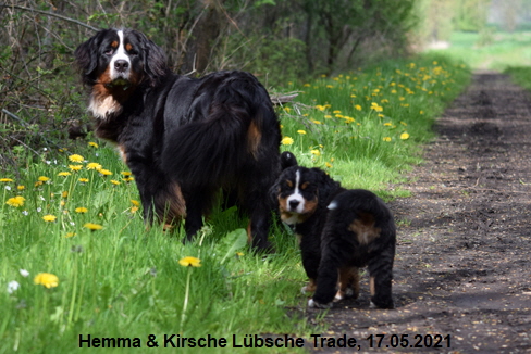 Hemma & Kirsche Lübsche Trade, 17.05.2021