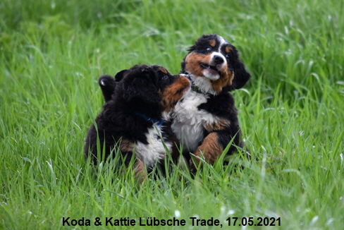 Koda & Kattie Lübsche Trade, 17.05.2021