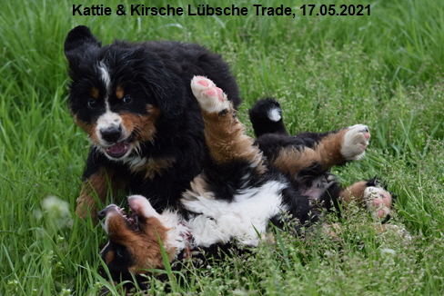 Kattie & Kirsche Lübsche Trade, 17.05.2021