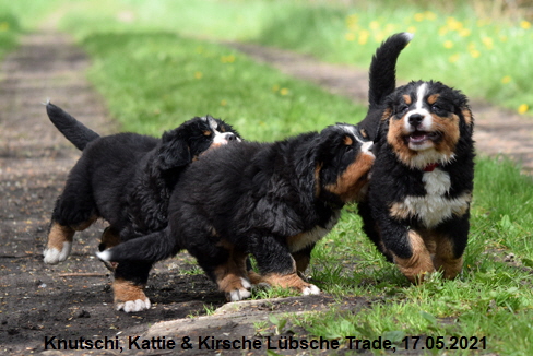 Knutschi, Kattie & Kirsche Lübsche Trade, 17.05.2021