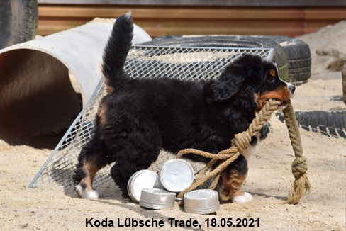 Koda Lübsche Trade, 18.05.2021