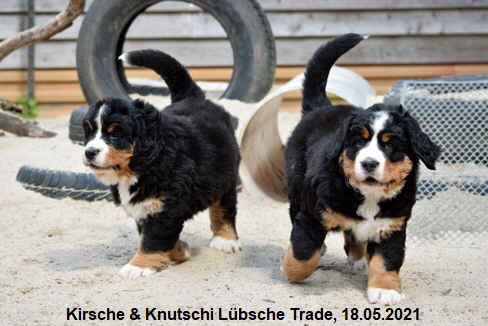 Kirsche & Knutschi Lübsche Trade, 18.05.2021