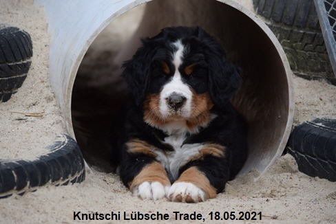 Knutschi Lübsche Trade, 18.05.2021