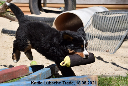 Kattie Lübsche Trade, 18.05.2021