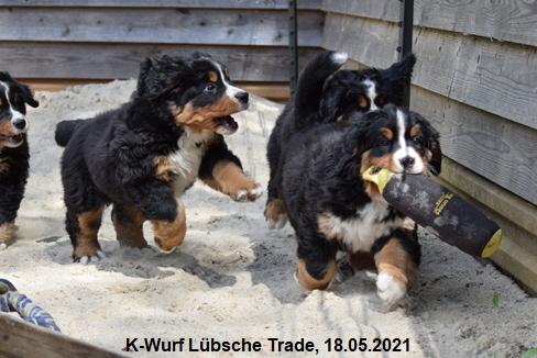 K-Wurf Lübsche Trade, 18.05.2021