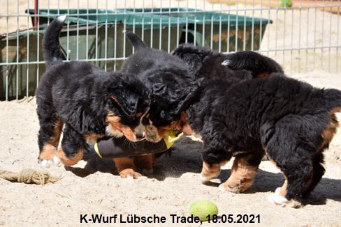 K-Wurf Lübsche Trade, 18.05.2021