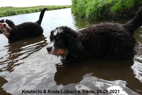 Knutschi & Koda Lbsche Trade, 24.05.2021