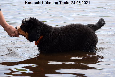 Knutschi Lbsche Trade, 24.05.2021
